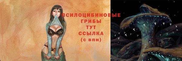 ешки Ладушкин