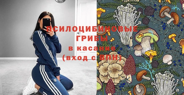 ешки Ладушкин