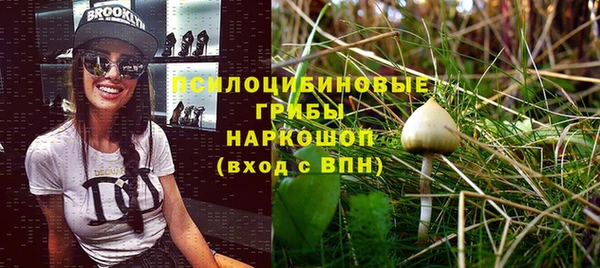 spice Лабытнанги