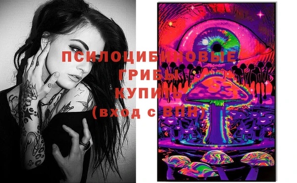 spice Лабытнанги