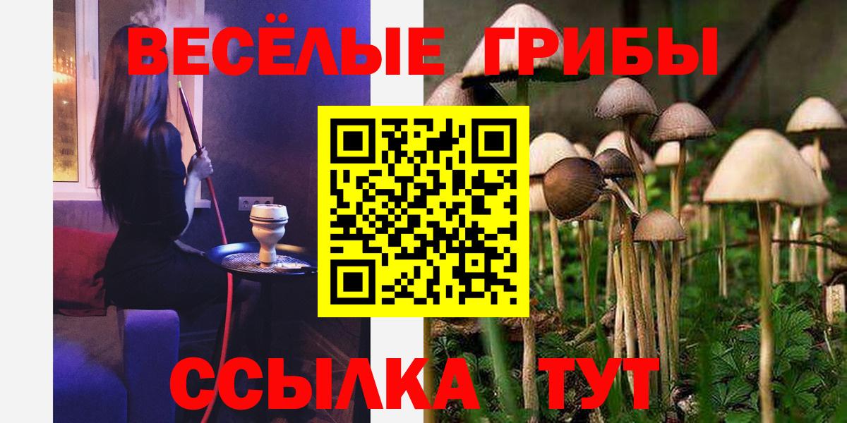 Псилоцибиновые грибы Psilocybe Кемерово