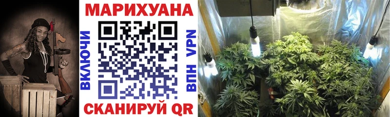 где можно купить   Кемерово  МАРИХУАНА SATIVA & INDICA 